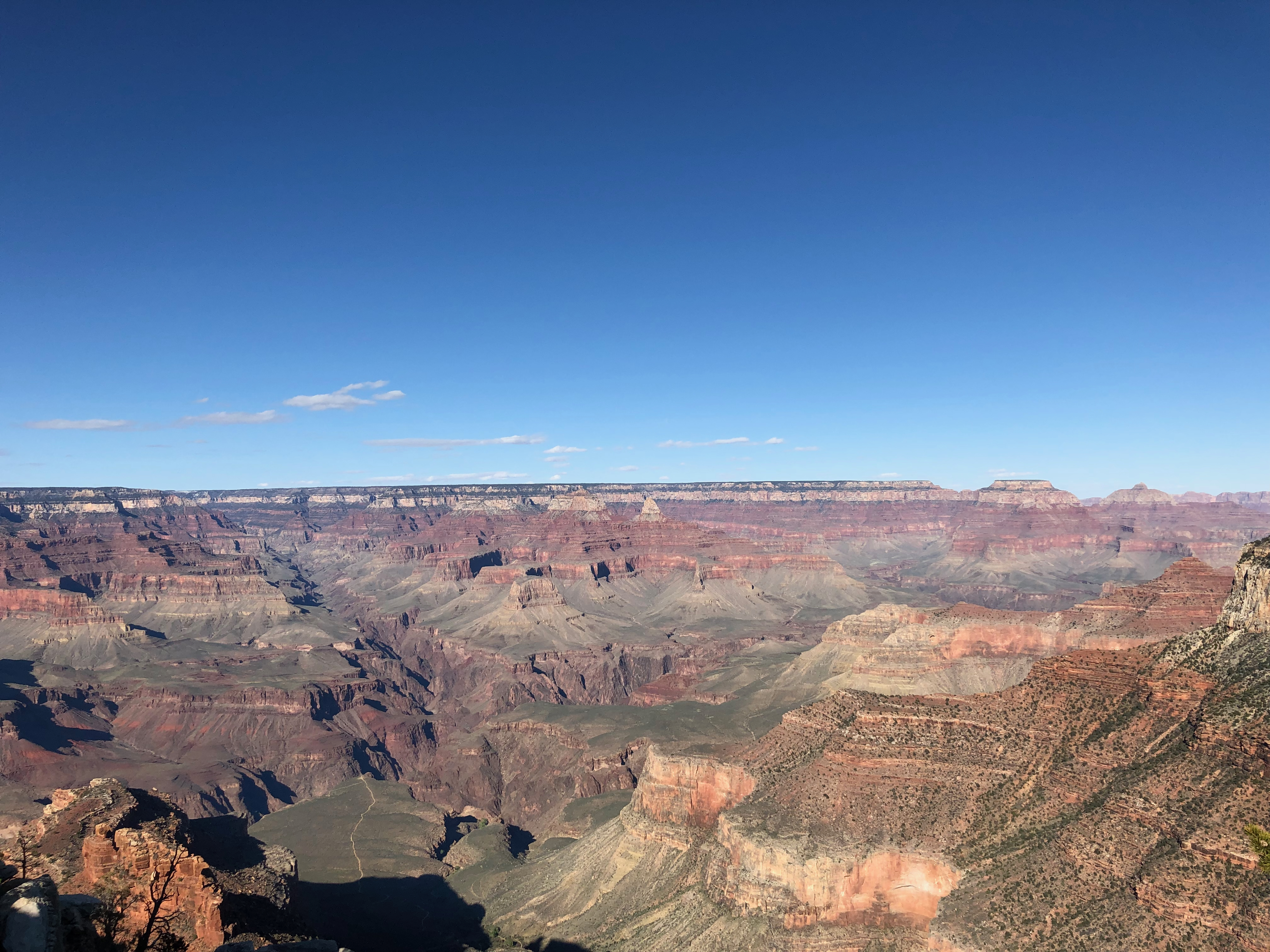 View over the Grand Canyon