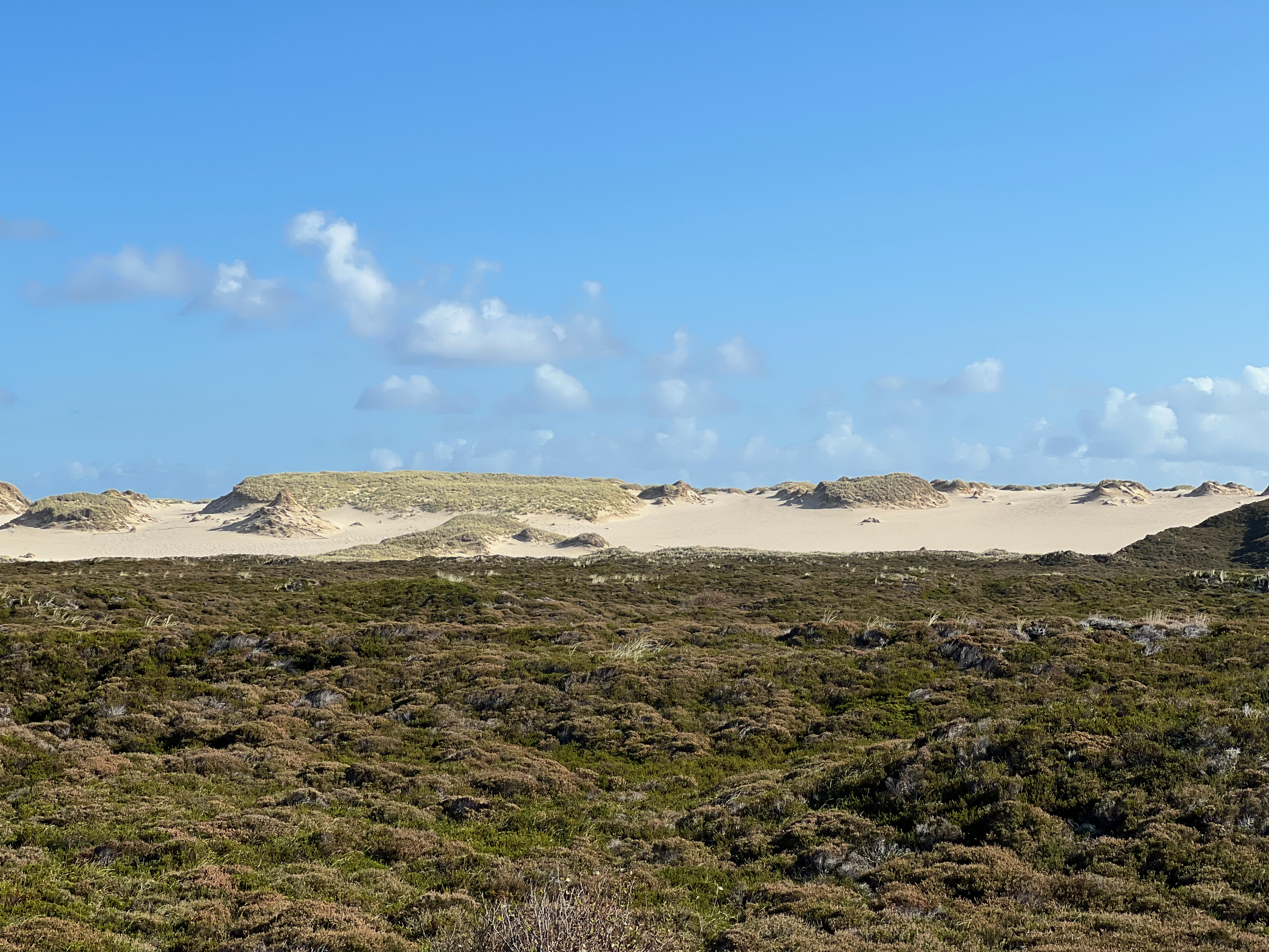 View of the shifting sand dune from the cycle path