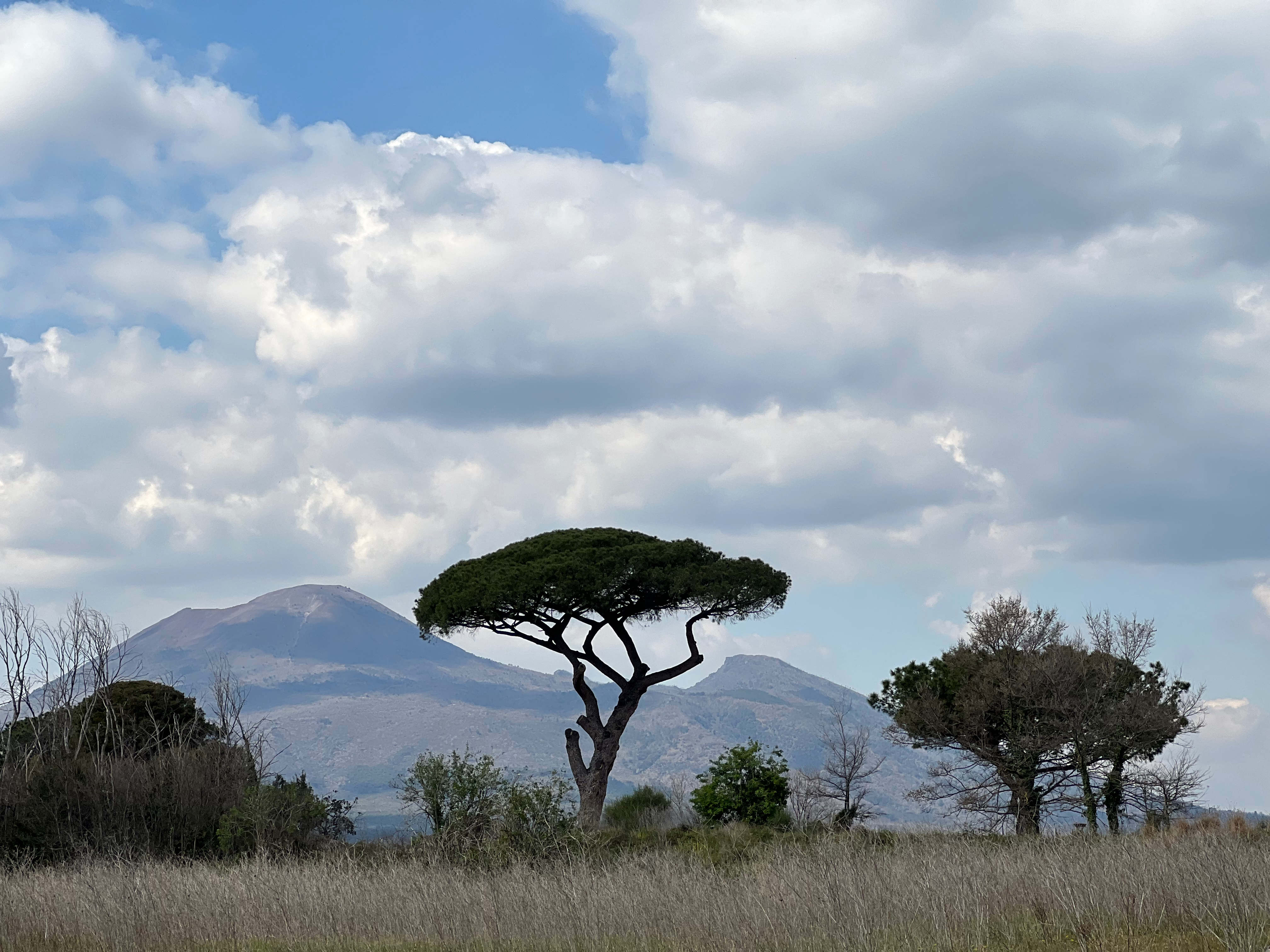 View of Vesuvius from the Pompeii Archeological Park
