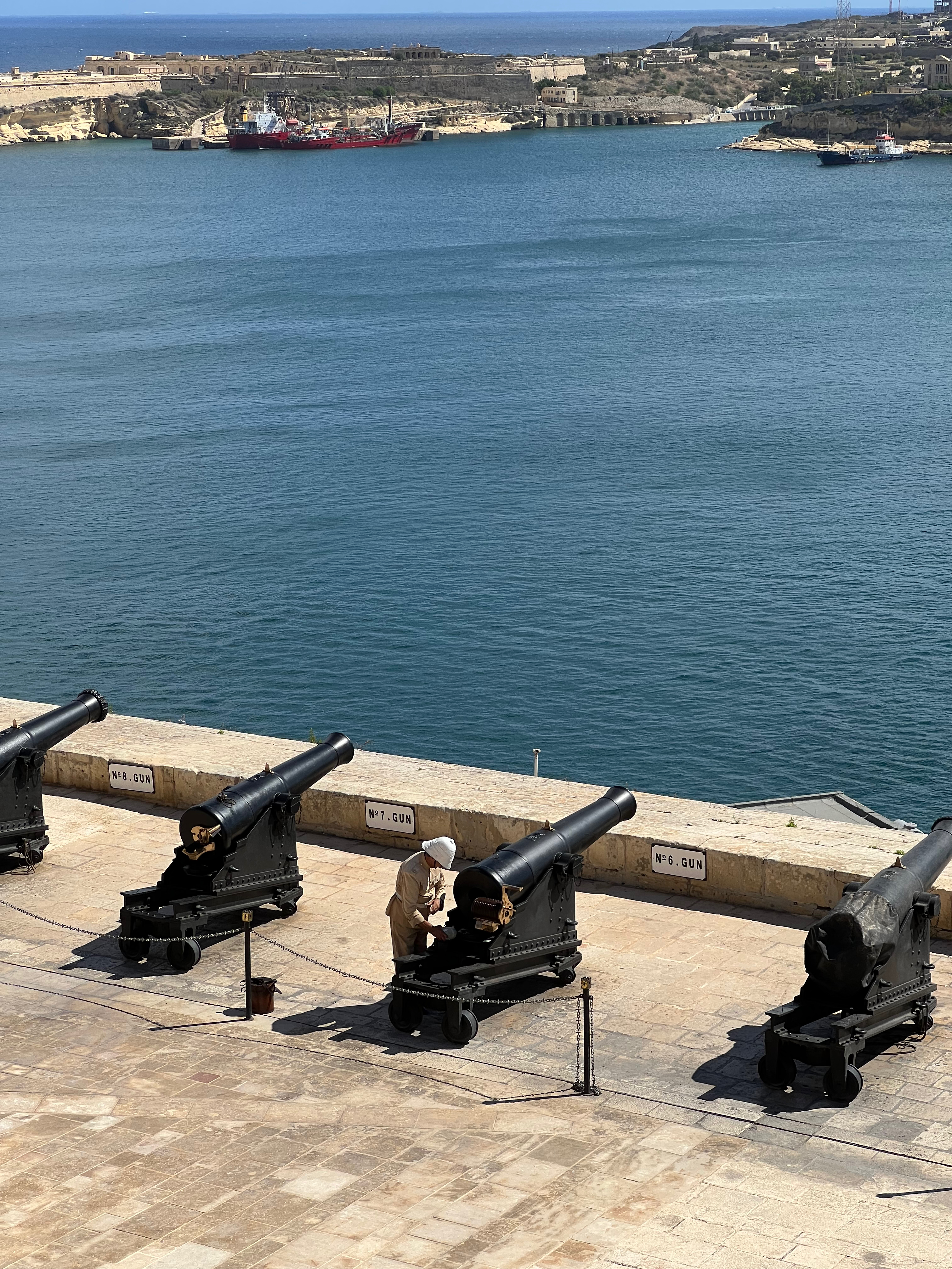 Cannons of the Saluting Battery