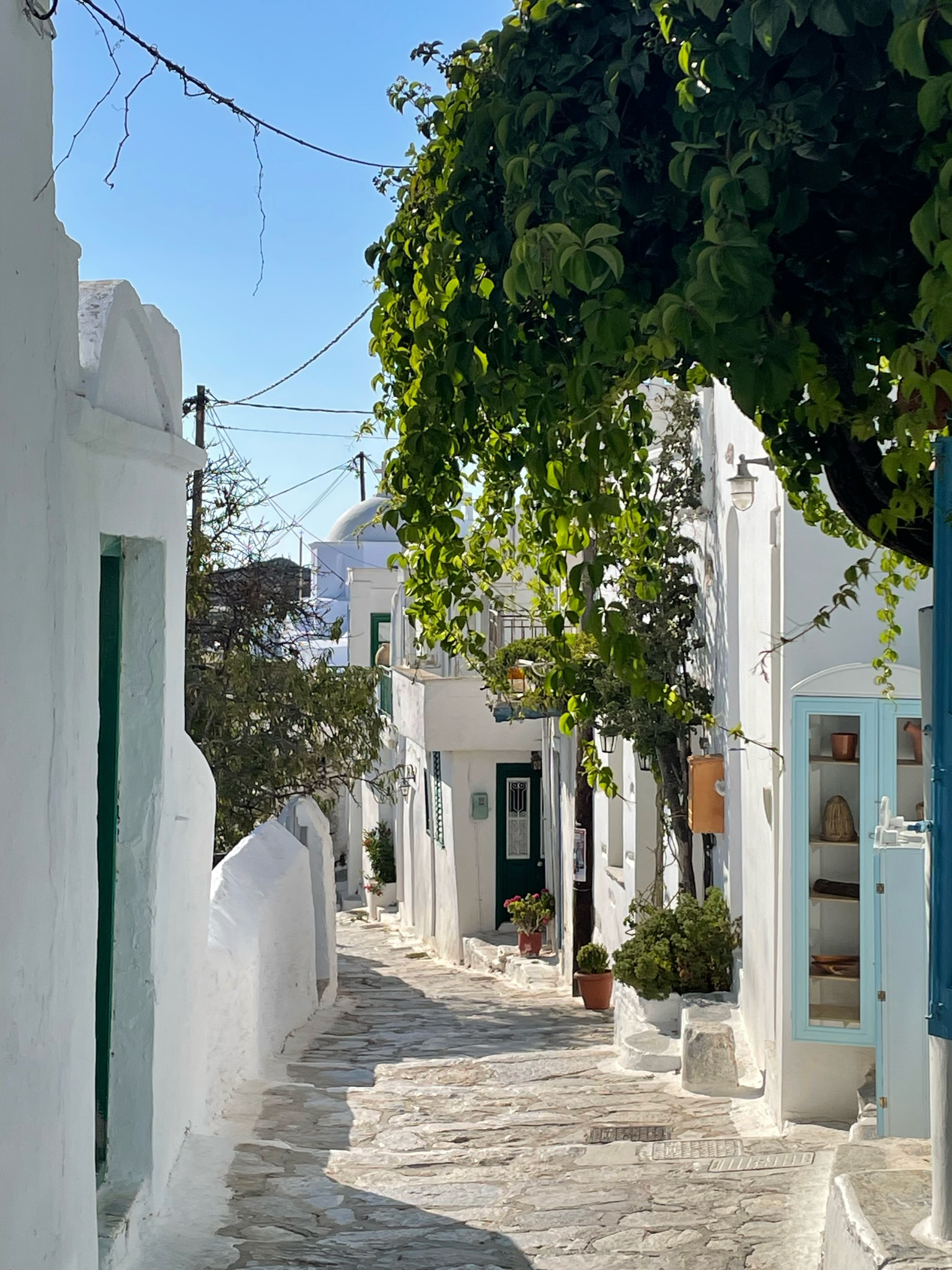 Alley with white houses